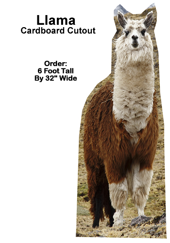 Llama Cardboard Cutout Standup Prop